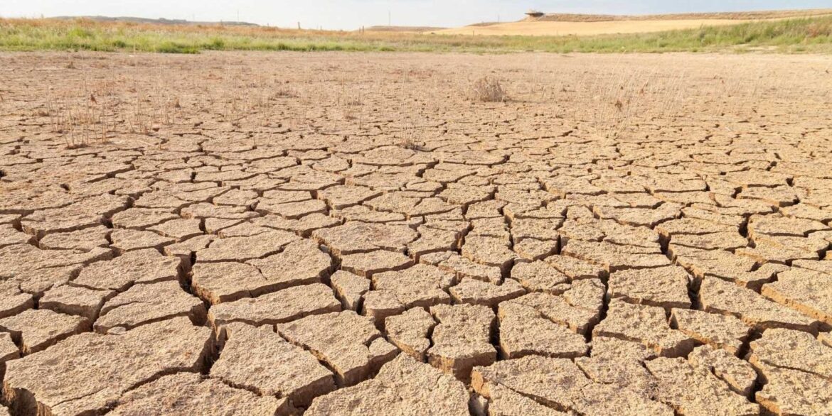 Humedad del suelo en zonas templadas y húmedas disminuirá 74%