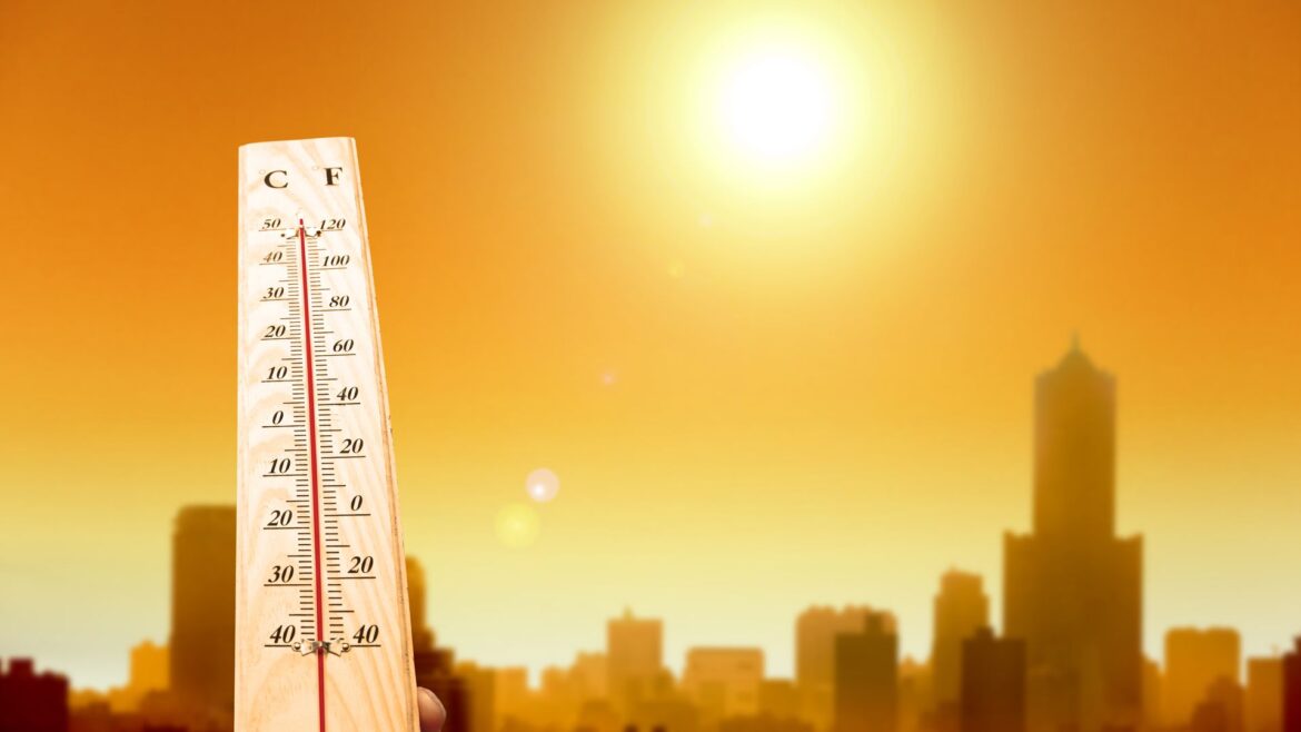 haiman-el-troudi-la-temperatura-media-global-en-2022-se-situo-en-1-15-grados-C Volvió a subir la temperatura media global en 2022 y se situó en 1,15 °C