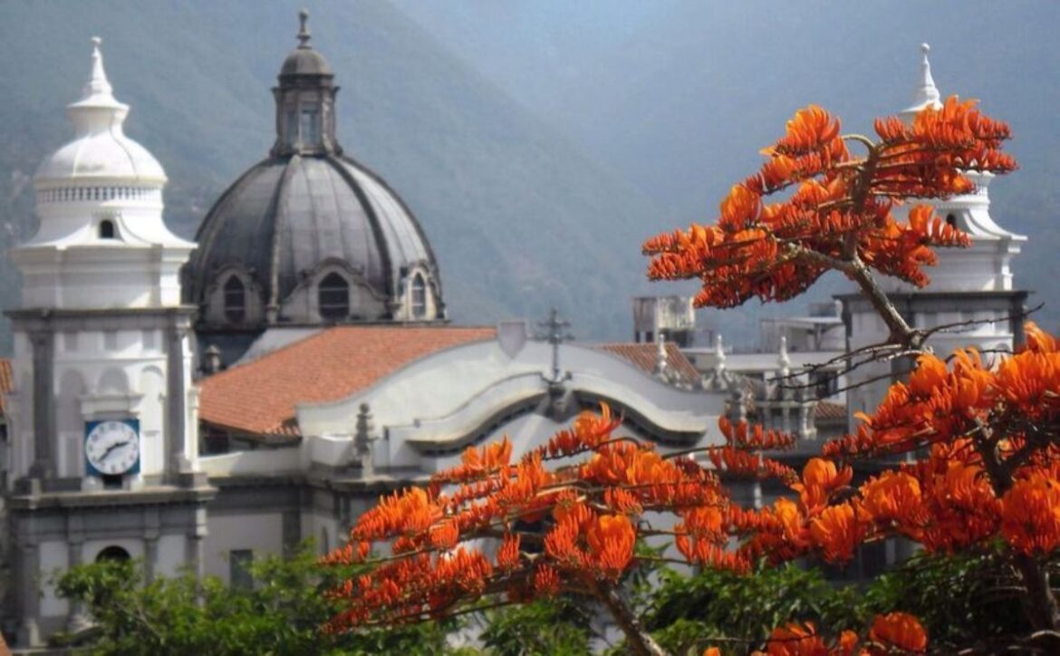 El bucare ceibo engalana el paisaje merideño con sus encendidas flores