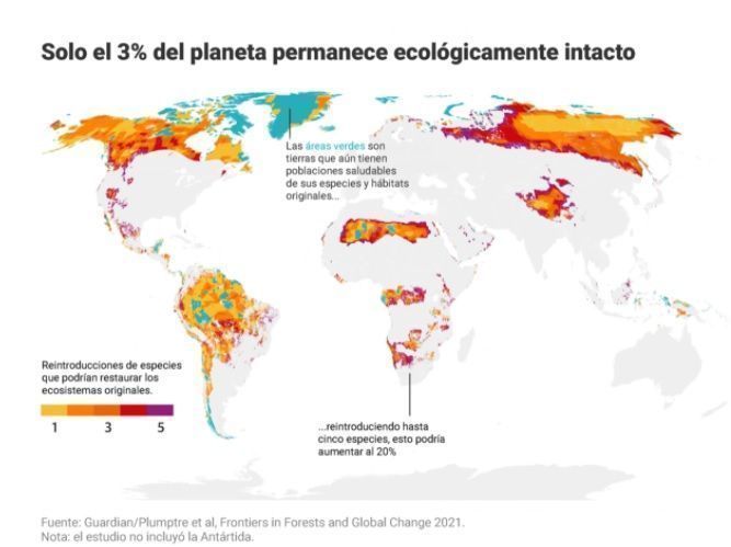 Estiman que sólo el 3% de los ecosistemas terrestres siguen intactos