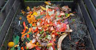 Compost casero: Pasos básicos para elaborar abono orgánico