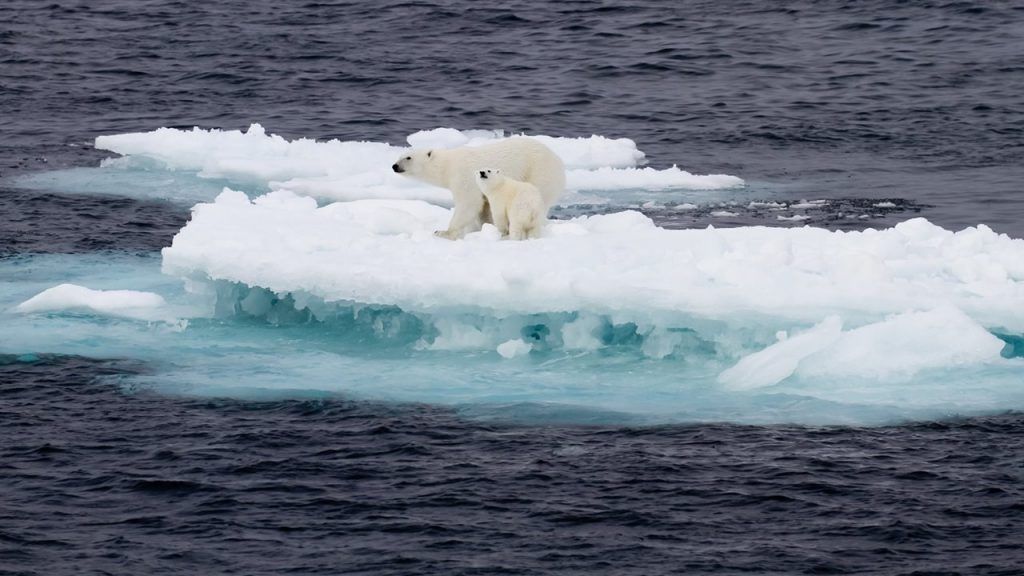 El Ártico arde y el hielo se derrite, señales ineludibles de la crisis climática