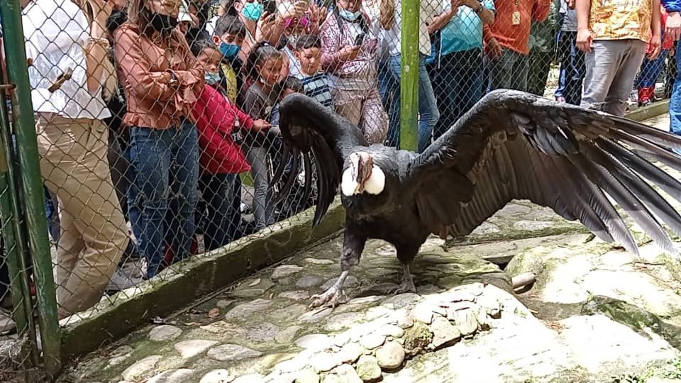 Parque Zoológico Chorros de Milla: exuberante recorrido entre cascadas y riachuelos