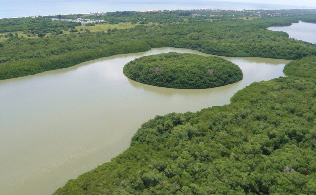 Regocijarse en el Parque Nacional Laguna de Tacarigua