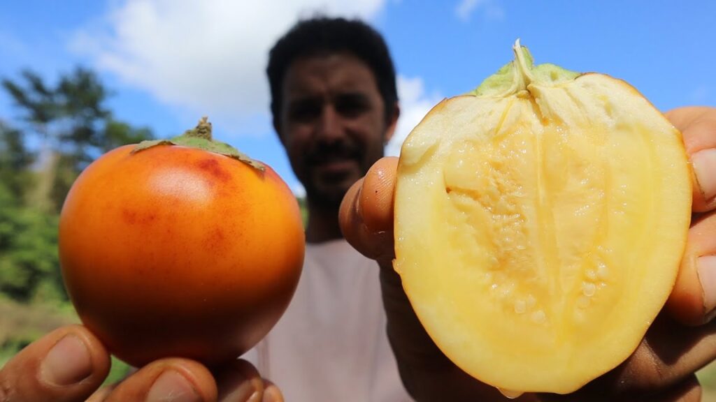 El Túpiro, rico fruto del Amazonas y un versátil ingrediente