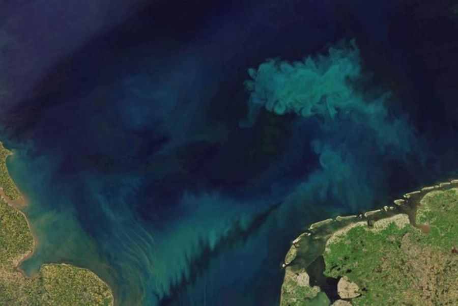 Océanos cada vez menos azules a causa del cambio climático