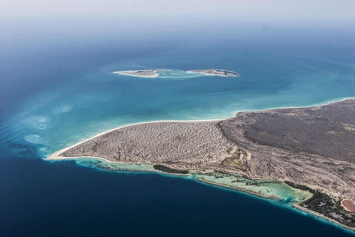 Un paraíso se esconde en La Tortuga, la segunda isla más grande de Venezuela