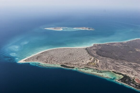 Un paraíso se esconde en La Tortuga, la segunda isla más grande de Venezuela