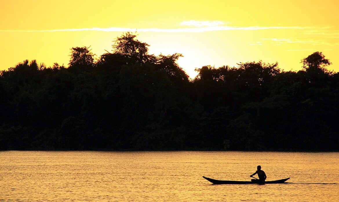 Parque Nacional Delta del Orinoco, paraíso de ciénagas y selva