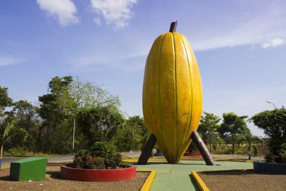 ¡Barlovento es de cacao!