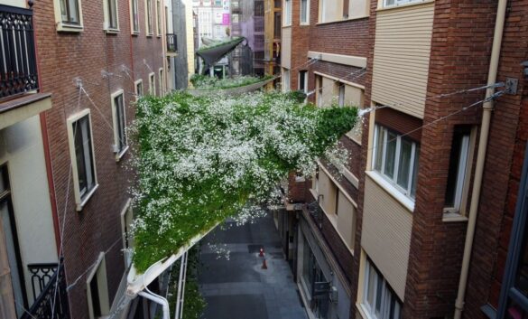 Toldos vegetales propuesta novedosa para llevar la naturaleza a la ciudad