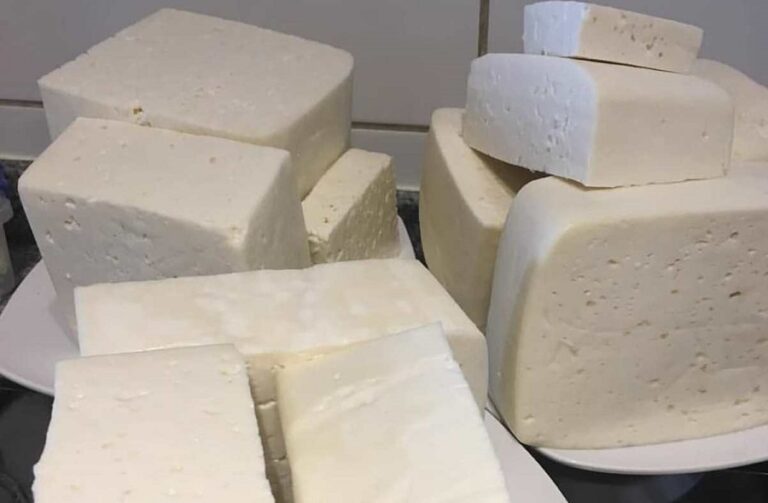 Los quesos tradicionales venezolanos ofrecen sabores únicos - Haiman el ...