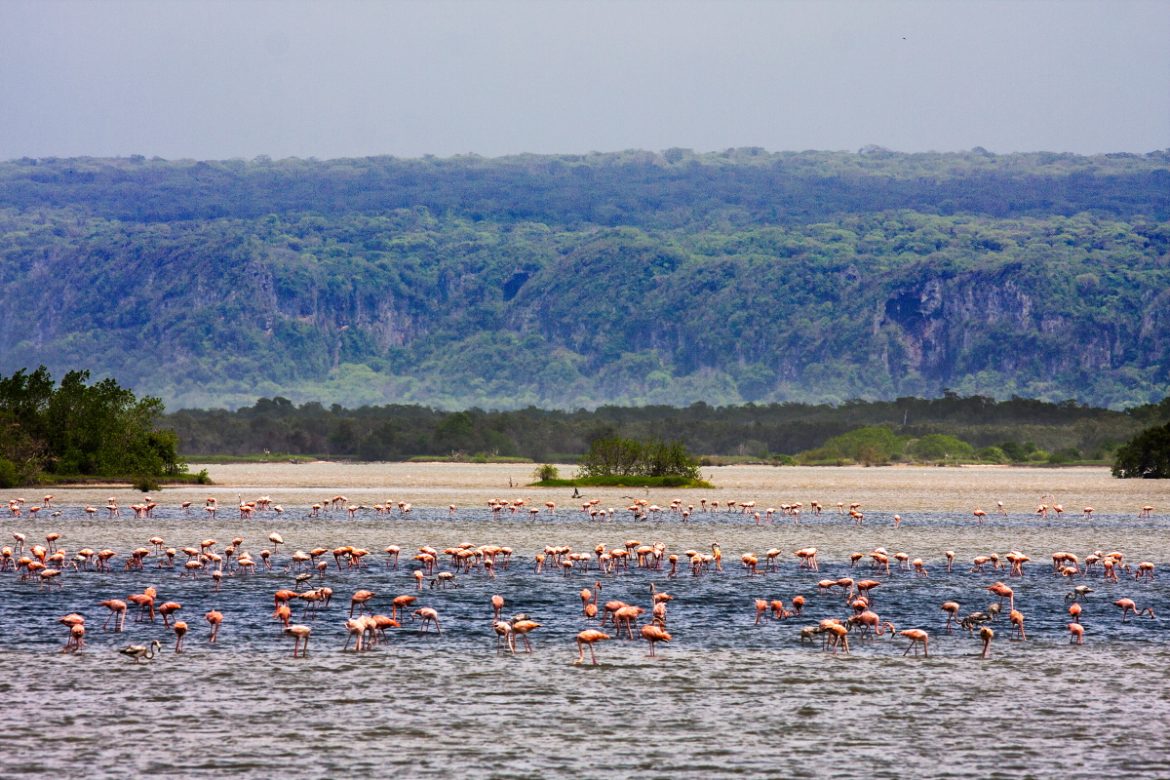 Refugio de Fauna Silvestre Cuare, primer humedal reconocido del país