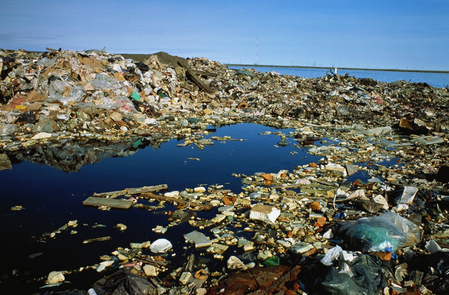 La plastifera, ecosistema único y no natural que evoluciona en el mar