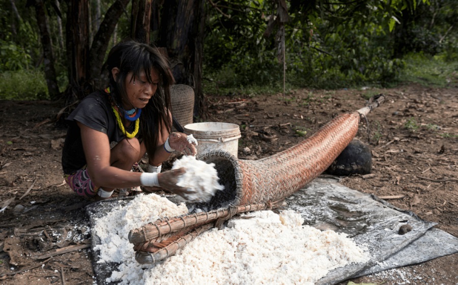 Exóticas delicias del Amazonas, una herencia ancestral