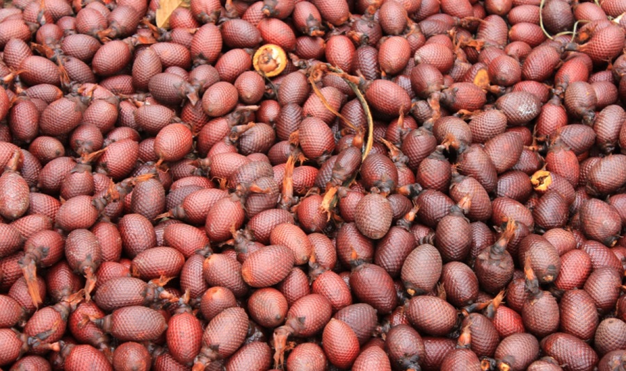 Exóticas delicias del Amazonas, una herencia ancestral
