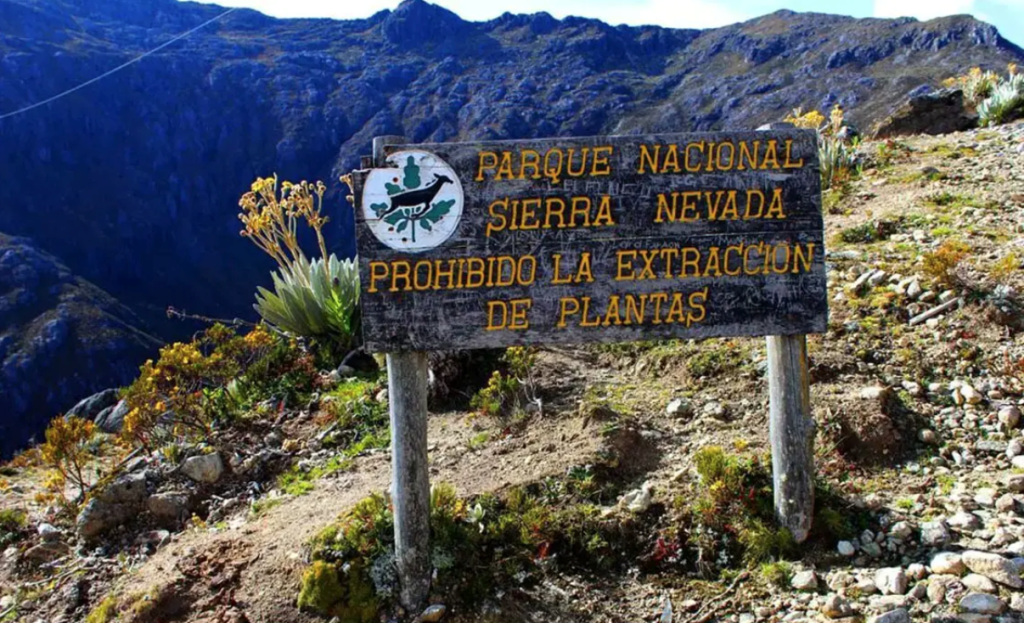 Parque Nacional Sierra Nevada preserva el ecosistema de mayor altura
