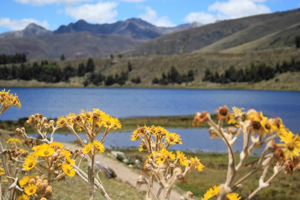 Parque Nacional Sierra Nevada preserva el ecosistema de mayor altura