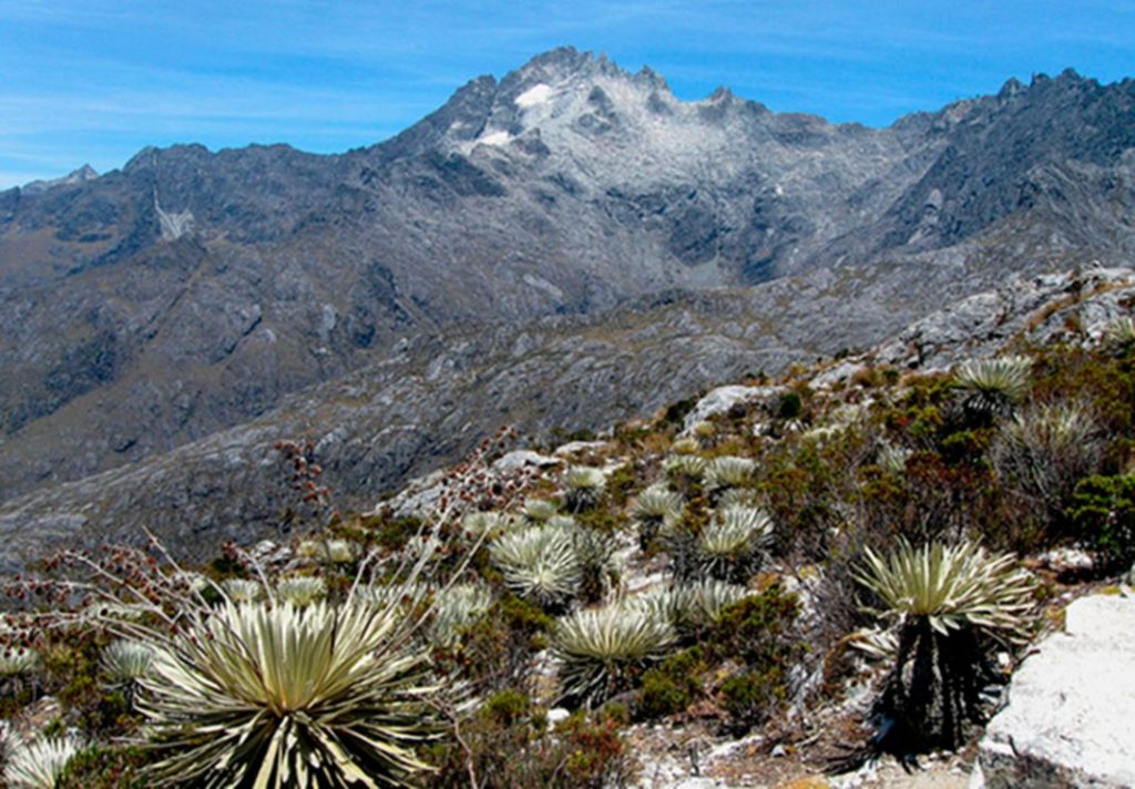 Parque Nacional Sierra Nevada preserva el ecosistema de mayor altura