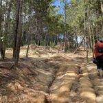 Cerro El Volcán, cinturón vegetal de Baruta y El Hatillo