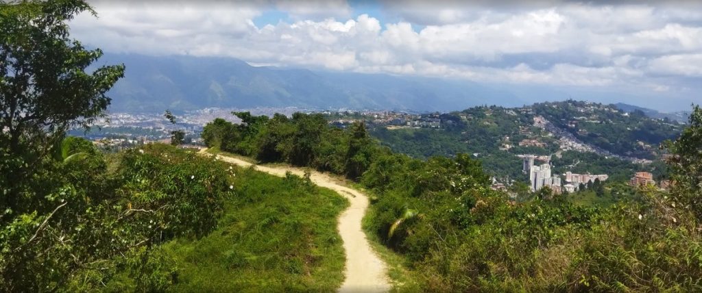 Cerro El Volcán, cinturón vegetal de Baruta y El Hatillo