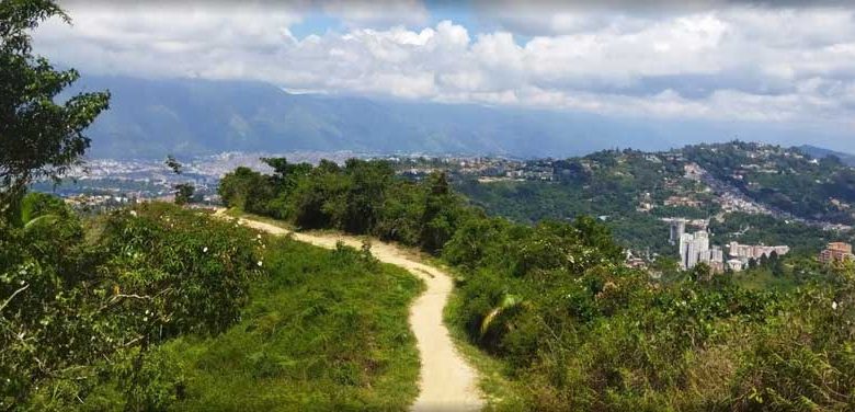 Cerro El Volcán, cinturón vegetal de Baruta y El Hatillo