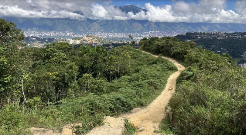 Cerro El Volcán, cinturón vegetal de Baruta y El Hatillo