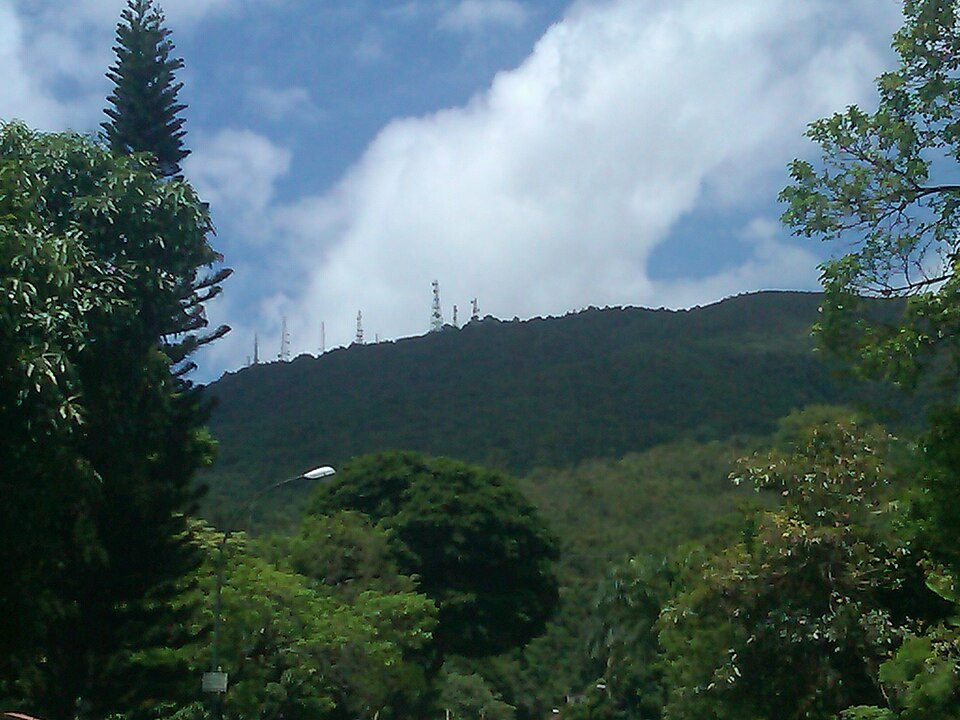Cerro El Volcán, cinturón vegetal de Baruta y El Hatillo