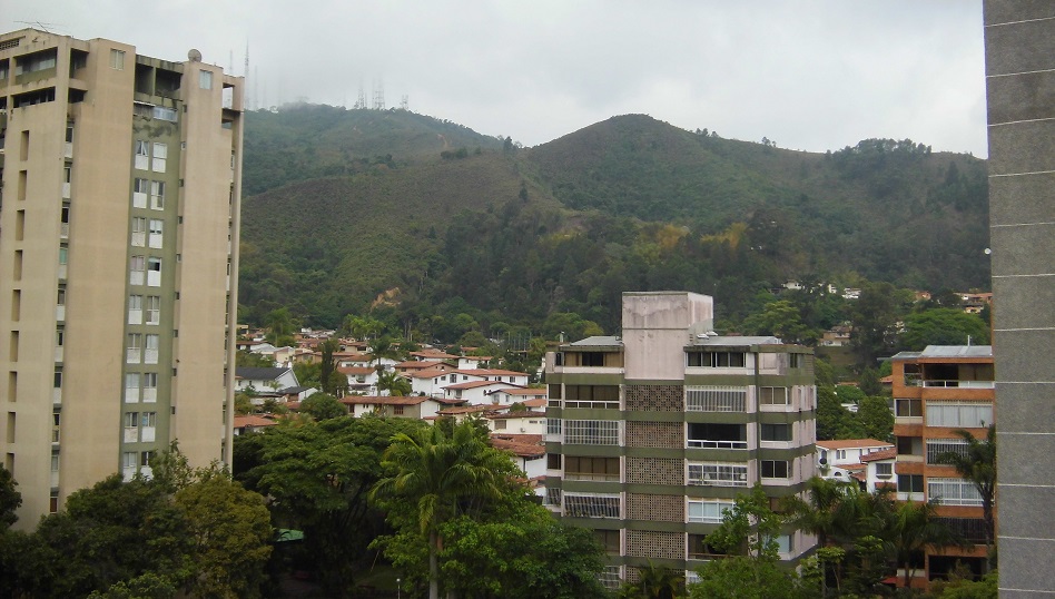 Cerro El Volcán, cinturón vegetal de Baruta y El Hatillo