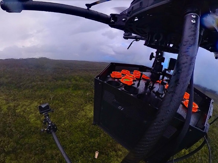 Usan drones para liberar mosquitos en Hawái y salvar a las aves nativas