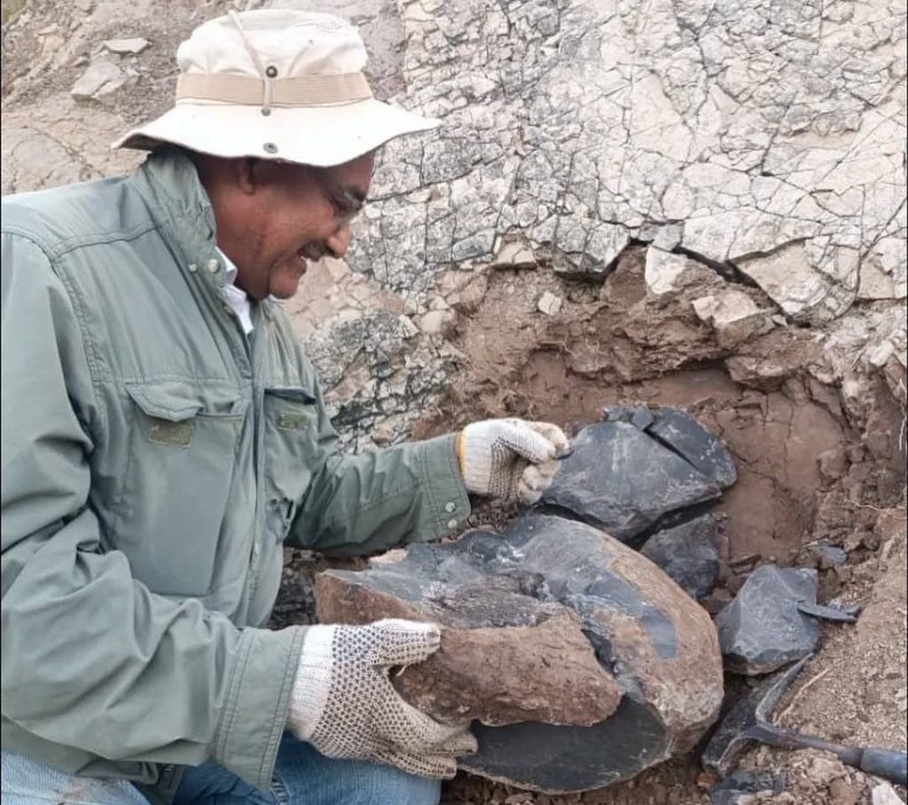 Descubrimiento de fósil de ictiosaurio amplía registro paleontológico nacional