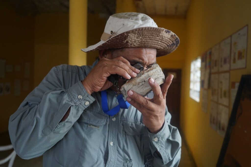 Descubrimiento de fósil de ictiosaurio amplía registro paleontológico nacional