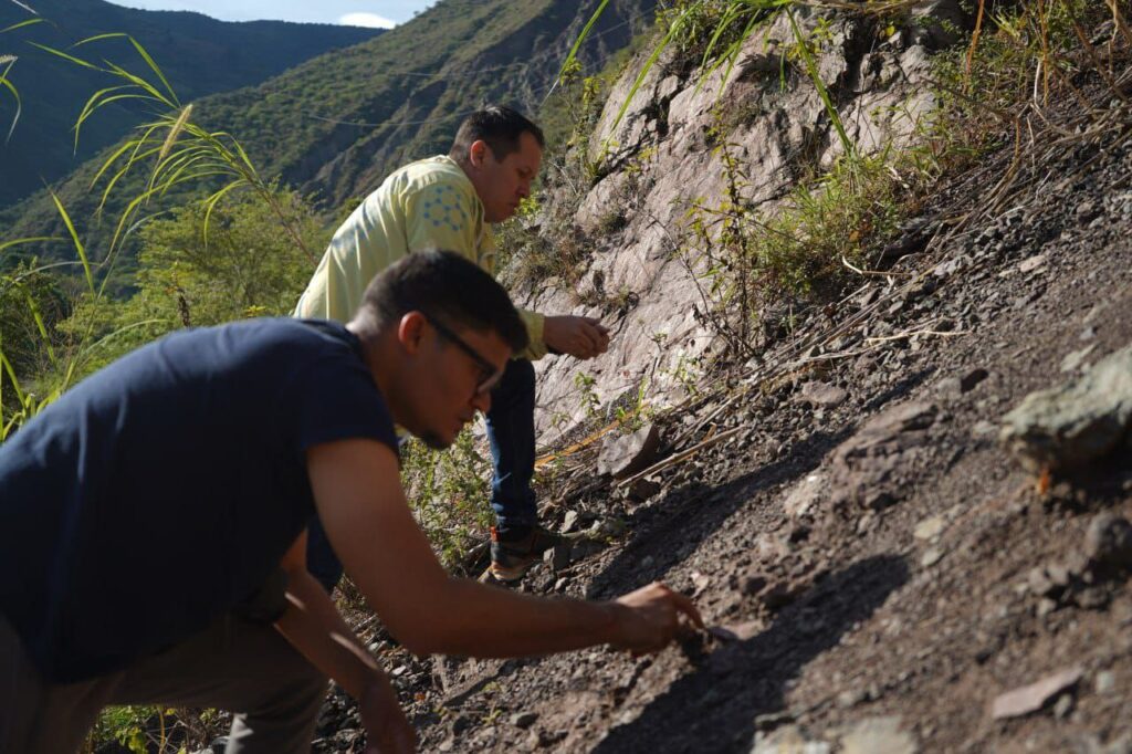 Descubrimiento de fósil de ictiosaurio amplía registro paleontológico nacional