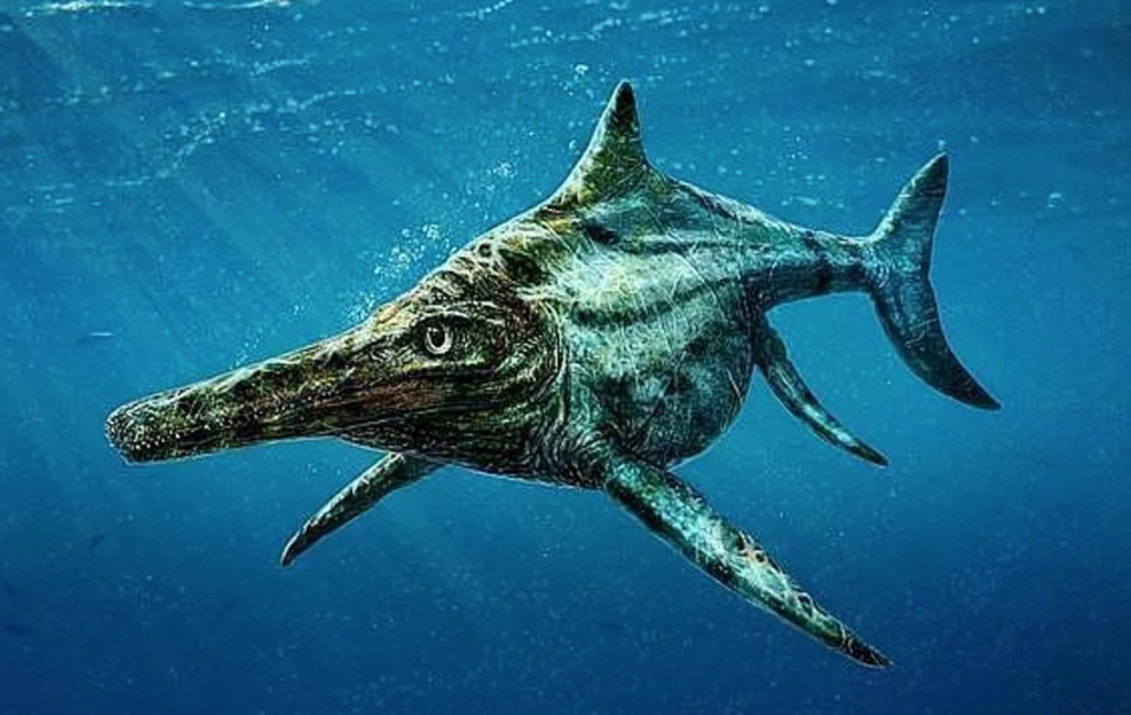 Descubrimiento de fósil de ictiosaurio amplía registro paleontológico nacional