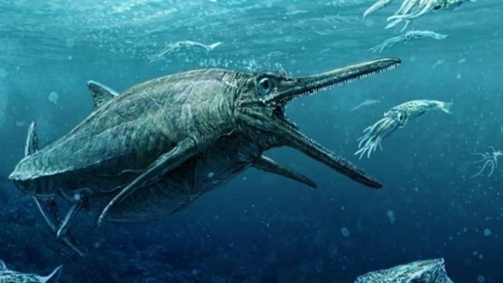 Descubrimiento de fósil de ictiosaurio amplía registro paleontológico nacional