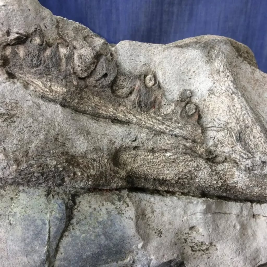 Museo Unidos por Chejendé resguarda auténtico tesoro precolombino