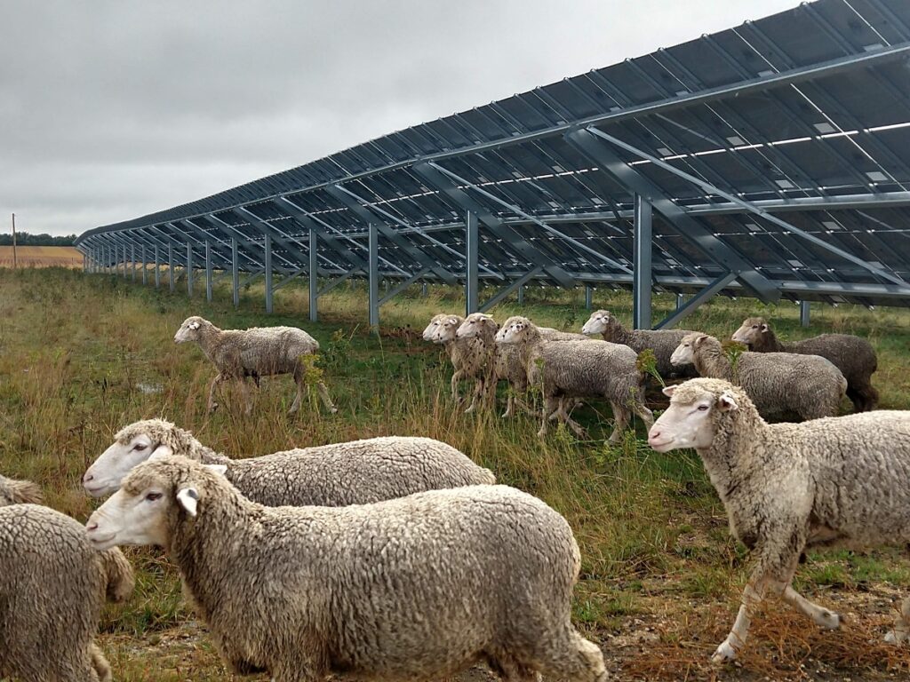 Millones de paneles solares dan vida a un nuevo paisaje en desierto de China