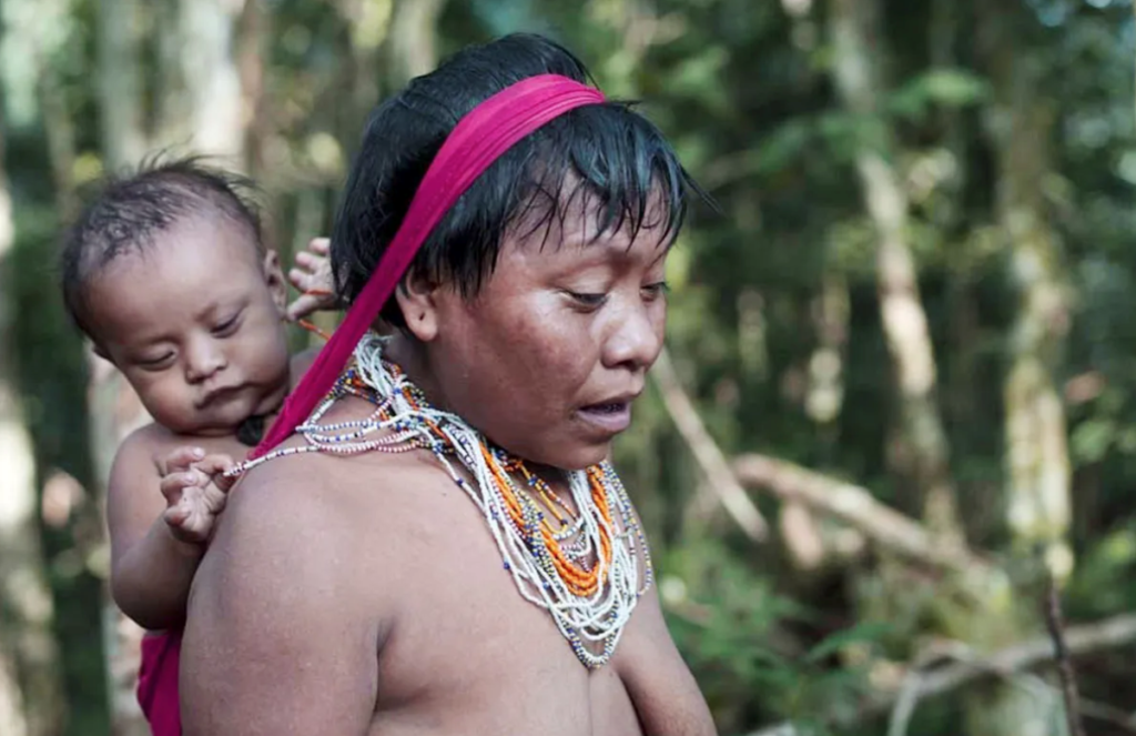 Reserva de Biosfera Alto Orinoco Casiquiare entre las más importantes del mundo