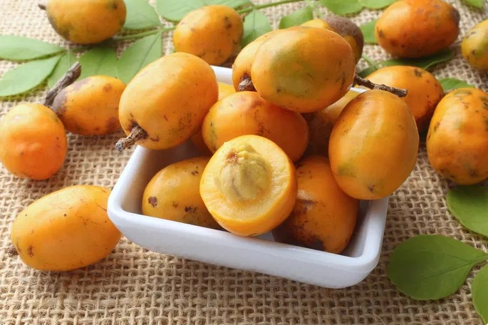 El agridulce y refrescante sabor del jobito o jobo