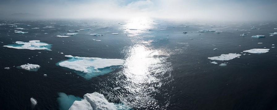 Groenlandia perdió 105 gigatoneladas métricas de hielo entre 2024 y 2025