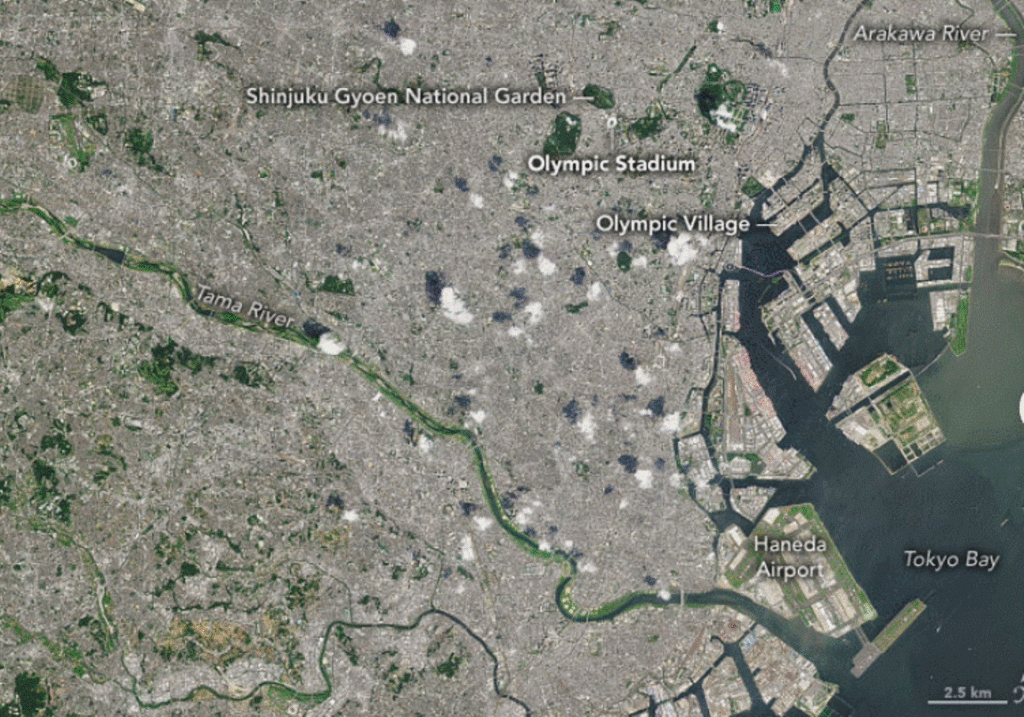 Mapa global de islas de calor urbanas permite predecir efectos del cambio climático