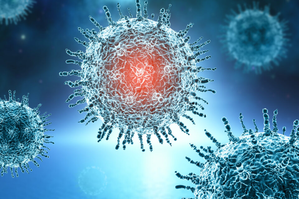 La venezolana Flor Pujol ingresó a la Academia Mundial de Ciencias