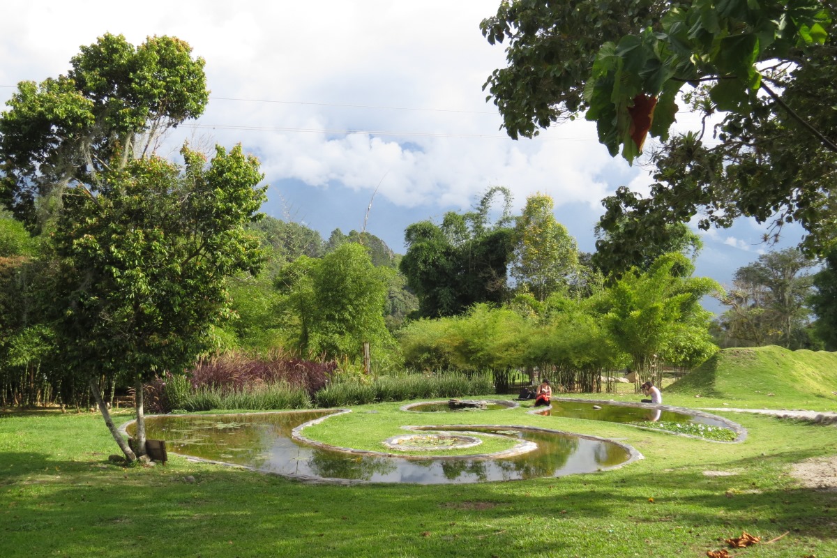 La bromelia y su exótica belleza