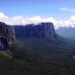 Tinamú Tepuy, un ave venezolana única en el mundo