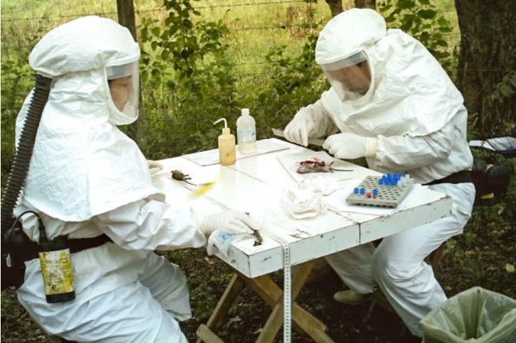 Rosa Alba Salas, centinela de los virus en el trópico