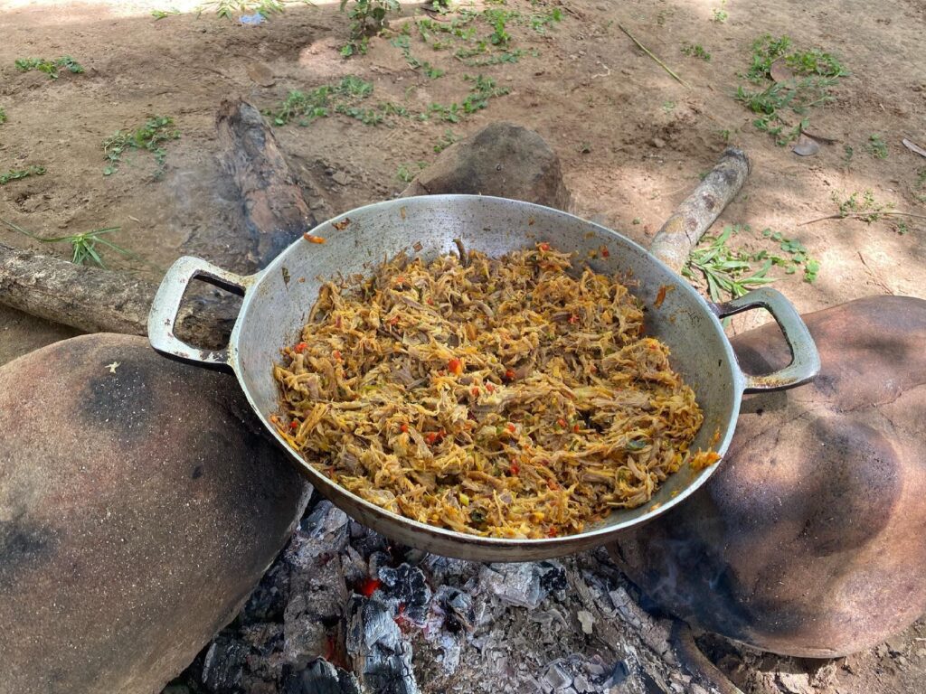 Sabores de la sabana apureña: pisillo de chigüire y el guiso de galápago
