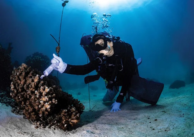 El cambio climático y los microbios: la guerra invisible bajo nuestros pies