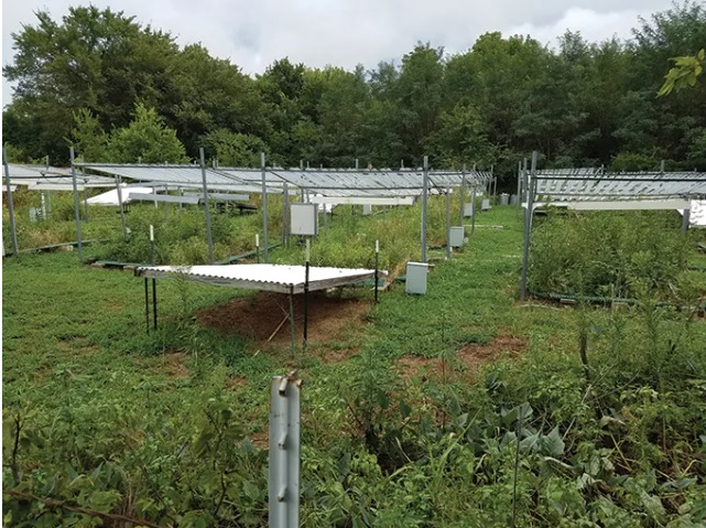 El cambio climático y los microbios: la guerra invisible bajo nuestros pies