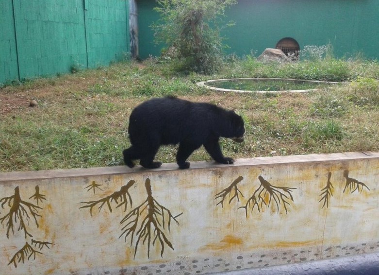 Parque Zoológico y Botánico Bararida, destacado refugio de especies amenazadas