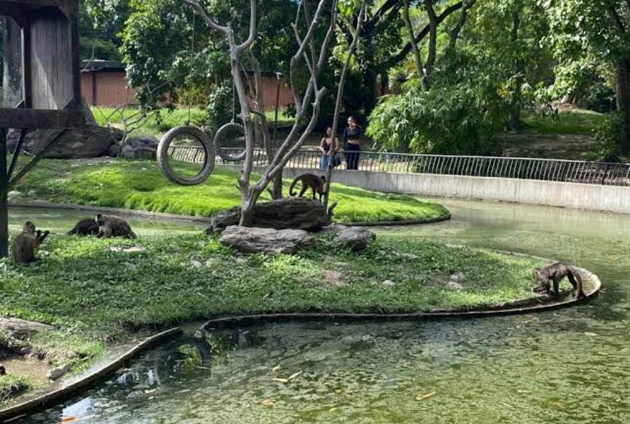 Parque Francisco de Miranda, más de seis décadas de esparcimiento y naturaleza